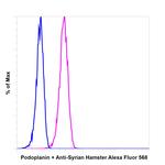 Syrian Hamster IgG (H+L) Highly Cross-Adsorbed Secondary Antibody in Flow Cytometry (Flow)