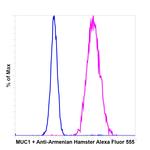 Armenian Hamster IgG (H+L) Highly Cross-Adsorbed Secondary Antibody in Flow Cytometry (Flow)