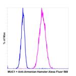 Armenian Hamster IgG (H+L) Highly Cross-Adsorbed Secondary Antibody in Flow Cytometry (Flow)