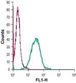 Adenosine A2A Receptor (extracellular) Antibody in Flow Cytometry (Flow)