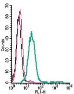 Adenosine A2A Receptor (extracellular) Antibody in Flow Cytometry (Flow)