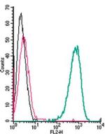 Adenosine A2A Receptor (extracellular) Antibody in Flow Cytometry (Flow)