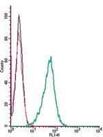 alpha 1A-Adrenergic Receptor (extracellular) Antibody in Flow Cytometry (Flow)