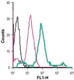 beta 2-Adrenergic Receptor (extracellular) Antibody in Flow Cytometry (Flow)