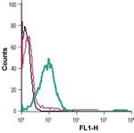 beta 2-Adrenergic Receptor (extracellular) Antibody in Flow Cytometry (Flow)