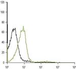 alpha 1D-Adrenergic Receptor (extracellular) Antibody in Flow Cytometry (Flow)