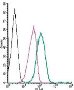 beta 1-Adrenergic Receptor (extracellular) Antibody in Flow Cytometry (Flow)