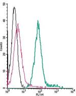 beta 1-Adrenergic Receptor (extracellular) Antibody in Flow Cytometry (Flow)