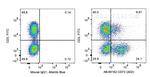 CD73 Antibody in Flow Cytometry (Flow)