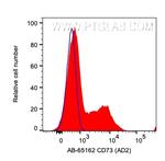 CD73 Antibody in Flow Cytometry (Flow)