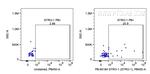 STRO-1 Antibody in Flow Cytometry (Flow)