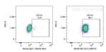 CD13 Antibody in Flow Cytometry (Flow)