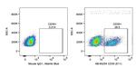 CD35 Antibody in Flow Cytometry (Flow)