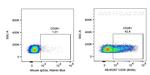 CD26 Antibody in Flow Cytometry (Flow)