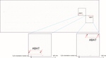 ABAT Antibody in Peptide array (ARRAY)