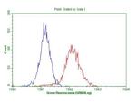 ABCB1 Antibody in Flow Cytometry (Flow)