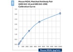 NGAL Antibody in ELISA (ELISA)