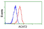 ACAT2 Antibody in Flow Cytometry (Flow)