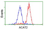 ACAT2 Antibody in Flow Cytometry (Flow)