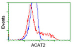 ACAT2 Antibody in Flow Cytometry (Flow)