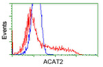 ACAT2 Antibody in Flow Cytometry (Flow)