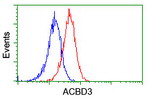 ACBD3 Antibody in Flow Cytometry (Flow)