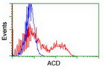 ACD Antibody in Flow Cytometry (Flow)