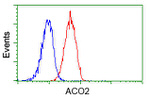 ACO2 Antibody in Flow Cytometry (Flow)