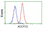 ACOT12 Antibody in Flow Cytometry (Flow)