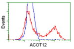 ACOT12 Antibody in Flow Cytometry (Flow)