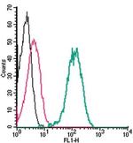 Cannabinoid Receptor 1 (extracellular) Antibody in Flow Cytometry (Flow)