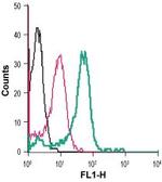 Calcium Sensing Receptor (extracellular) Antibody in Flow Cytometry (Flow)