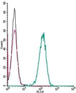 CXCR1 (extracellular) Antibody in Flow Cytometry (Flow)