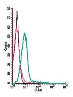 CCR9 (extracellular) Antibody in Flow Cytometry (Flow)