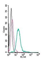 CX3CR1 (extracellular) Antibody in Flow Cytometry (Flow)