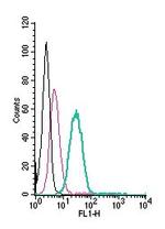 CX3CR1 (extracellular) Antibody in Flow Cytometry (Flow)