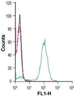 CX3CR1 (extracellular) Antibody in Flow Cytometry (Flow)