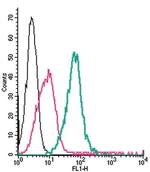 CRLR/CALCRL (extracellular) Antibody in Flow Cytometry (Flow)