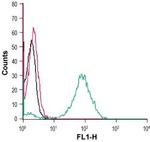 GPR55 (extracellular) Antibody in Flow Cytometry (Flow)