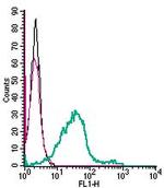 GPR55 (extracellular) Antibody in Flow Cytometry (Flow)