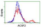 ACSF2 Antibody in Flow Cytometry (Flow)