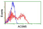 ACSM5 Antibody in Flow Cytometry (Flow)