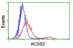 ACSS2 Antibody in Flow Cytometry (Flow)