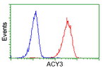 ACY3 Antibody in Flow Cytometry (Flow)