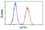 ACY3 Antibody in Flow Cytometry (Flow)