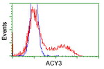 ACY3 Antibody in Flow Cytometry (Flow)