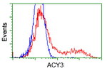 ACY3 Antibody in Flow Cytometry (Flow)