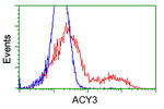 ACY3 Antibody in Flow Cytometry (Flow)