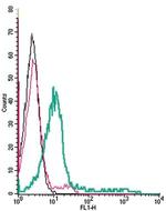 D3 Dopamine Receptor (extracellular) Antibody in Flow Cytometry (Flow)