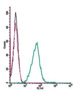 EphA1 (extracellular) Antibody in Flow Cytometry (Flow)